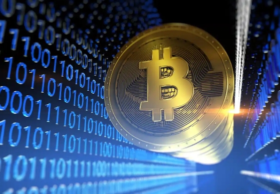 Don't Lose Your Coins! Crypto Safe Storage Guide